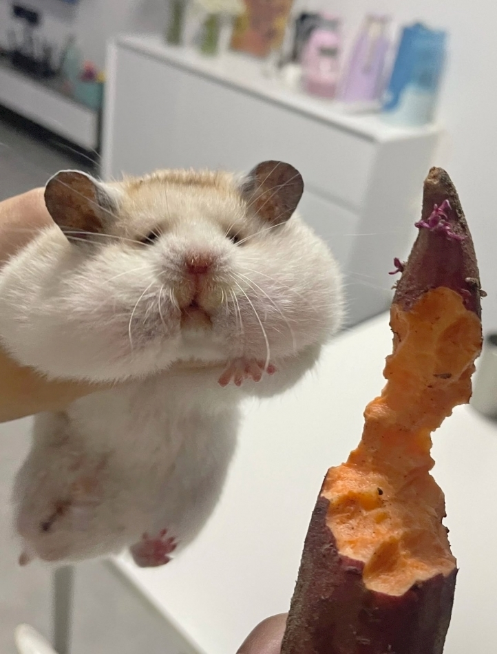 ゆん