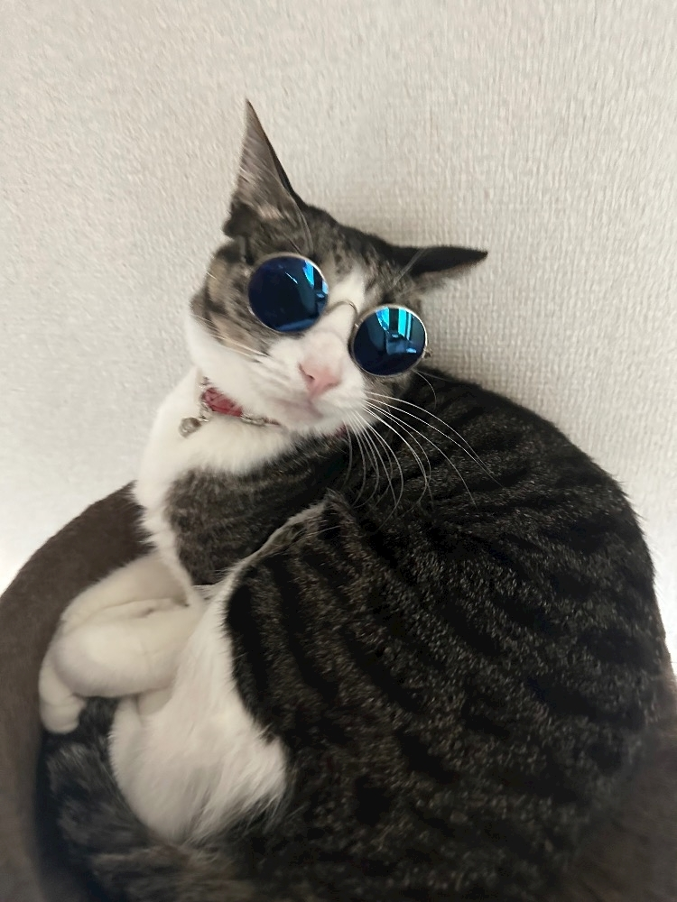 ユズ