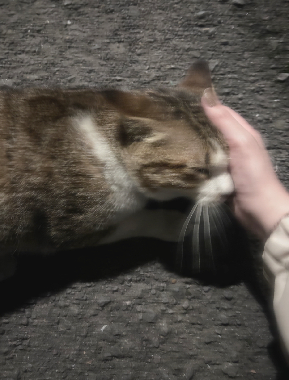 れむ