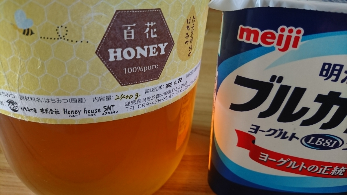 五条 椿