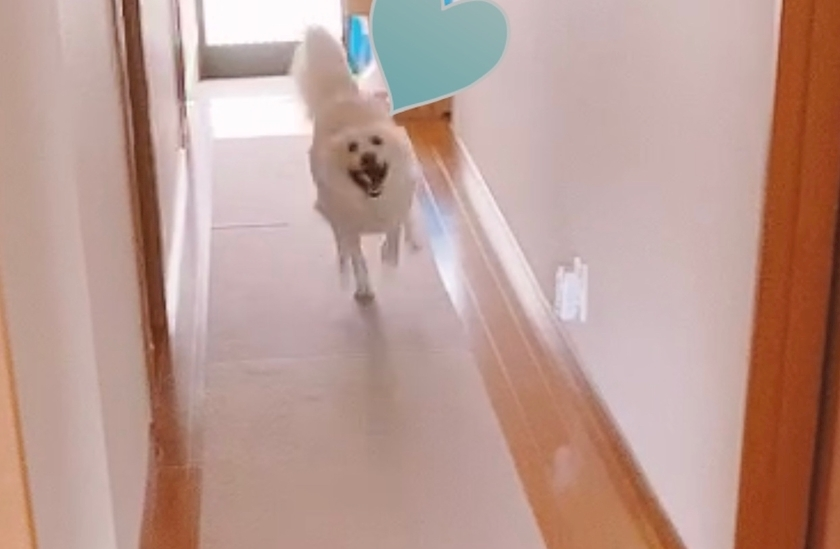 京 さゆみ