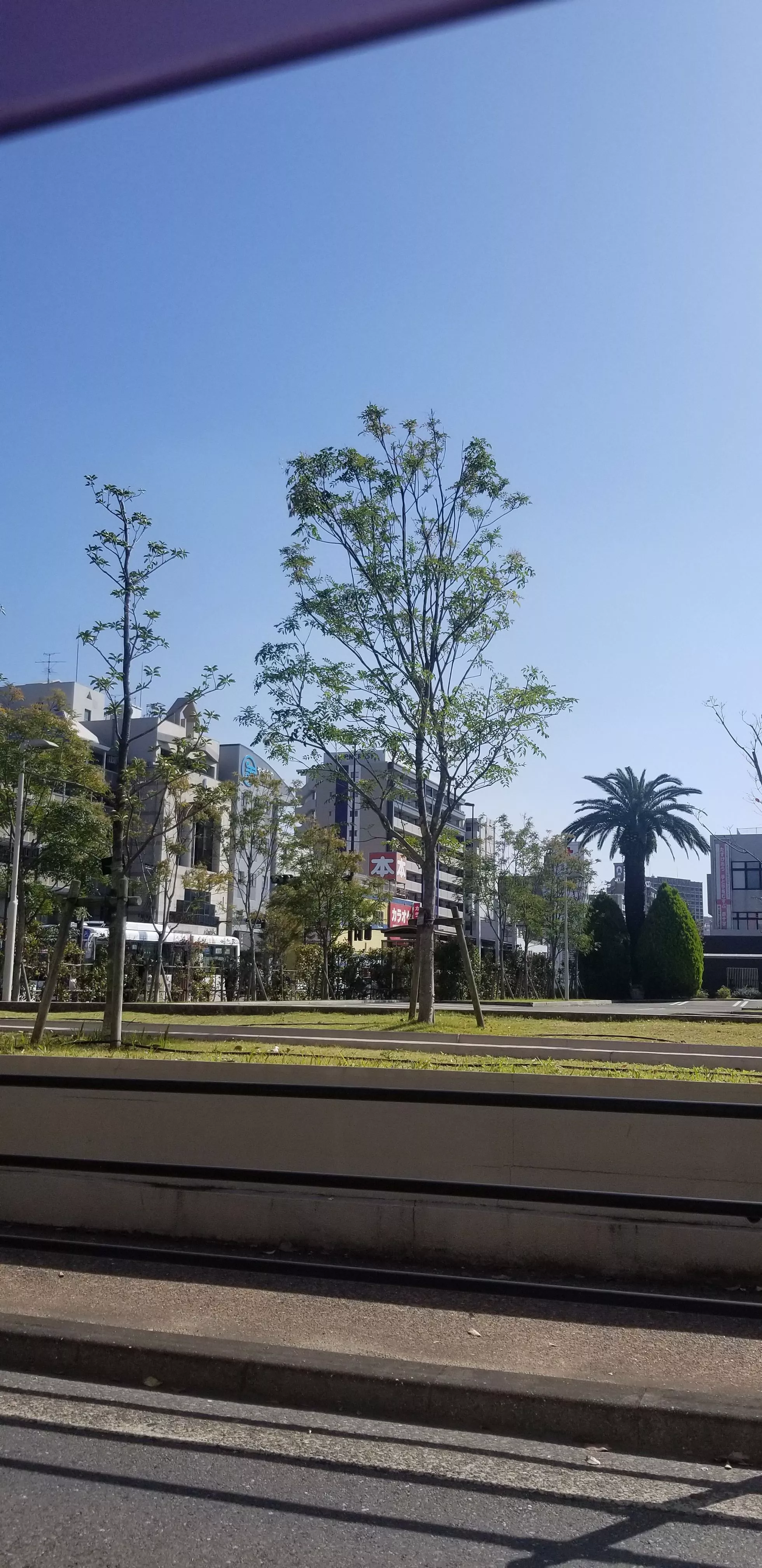 れん