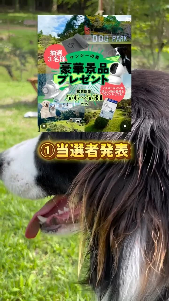 みこ
