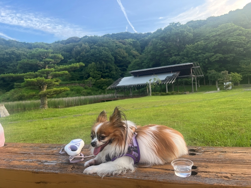あいら