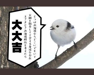 ひな