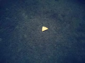ひな