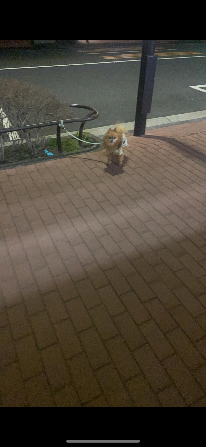 あきら