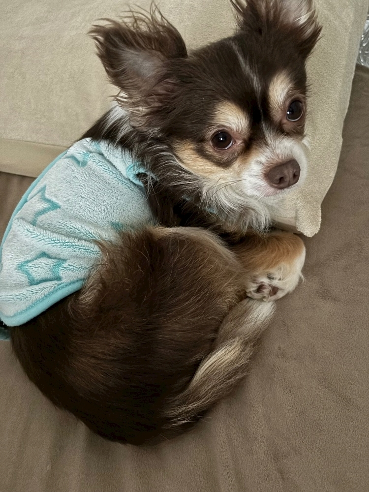 さな