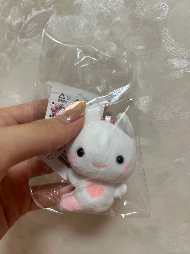 泙野 すず