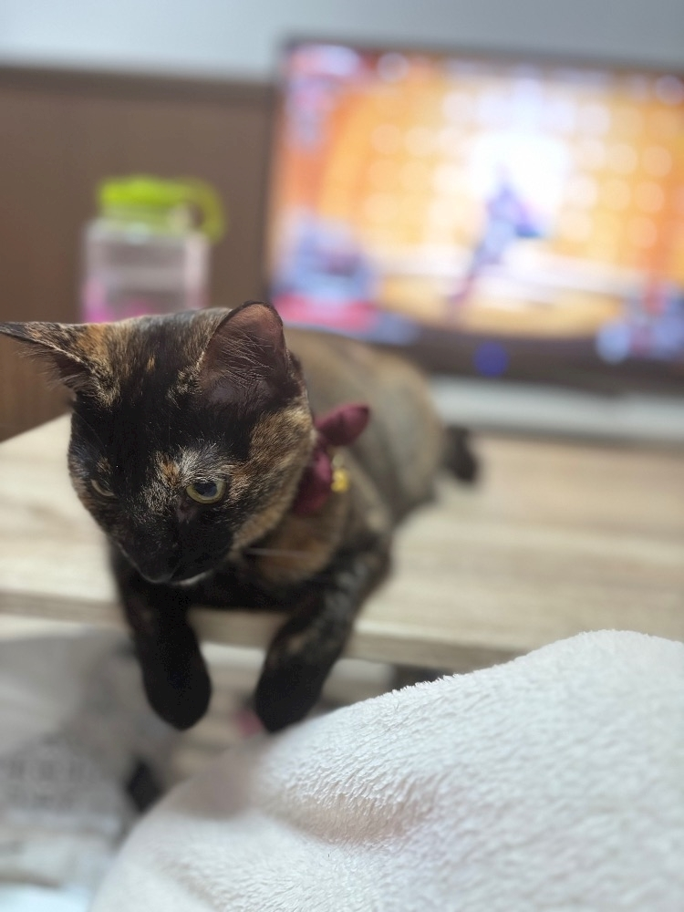 藤花 ゆの