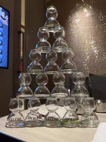 芹沢 あいな