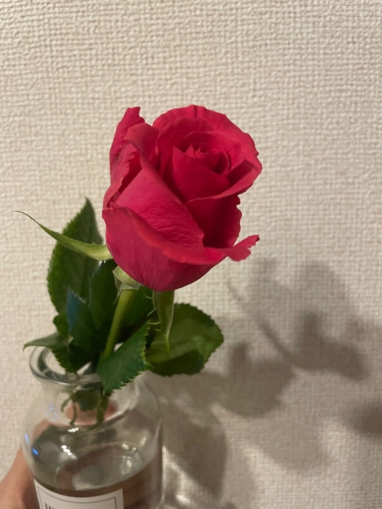 美月