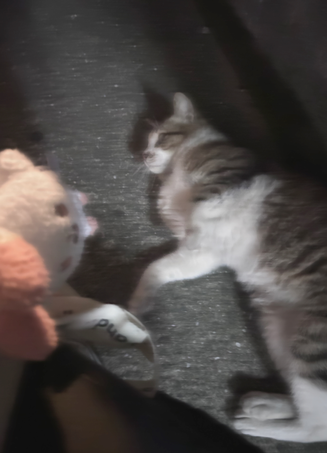 れむ