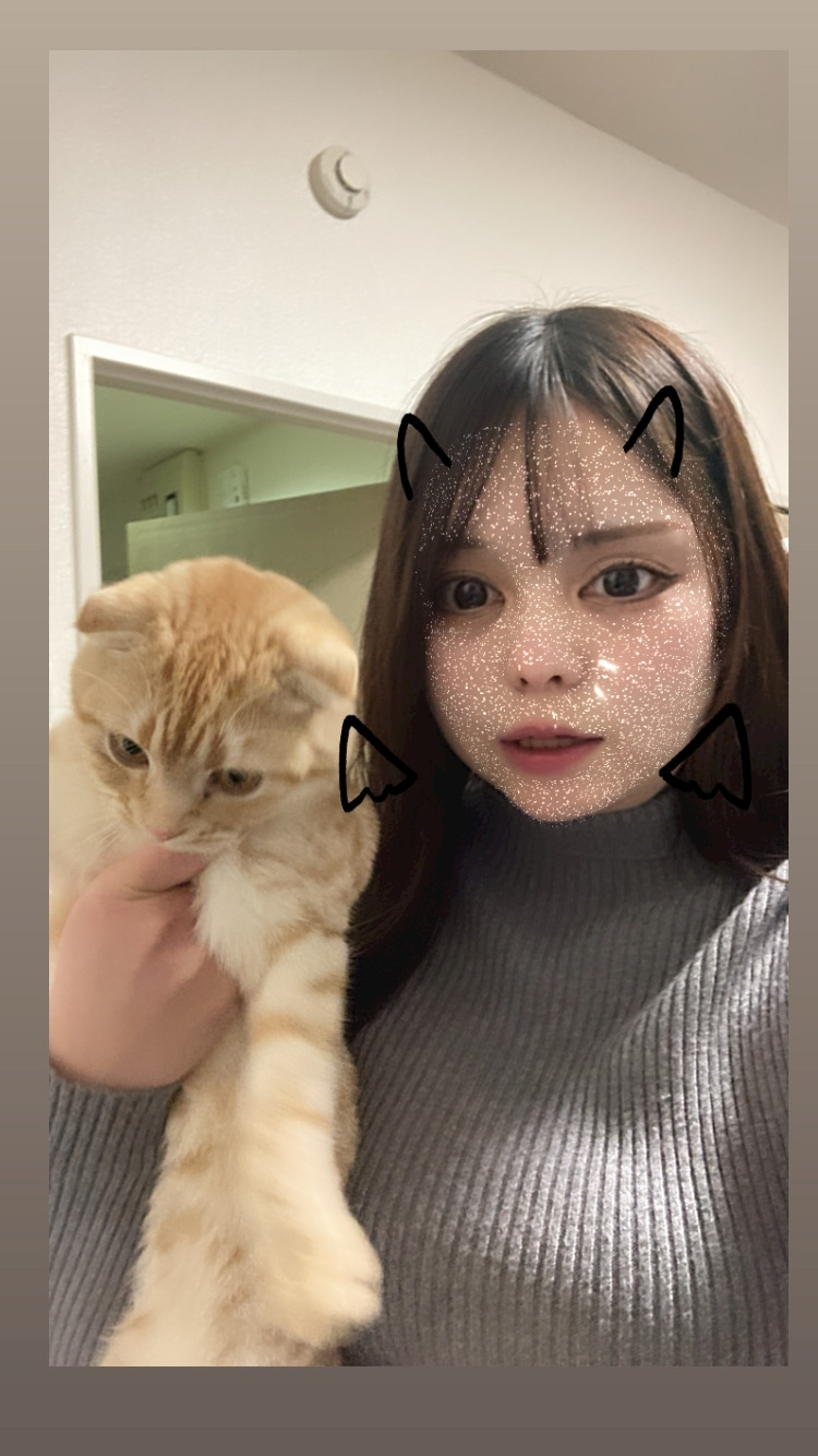 みおち