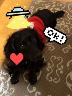 りえ
