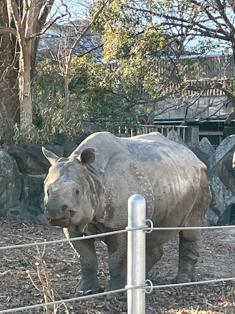 愛川 らん