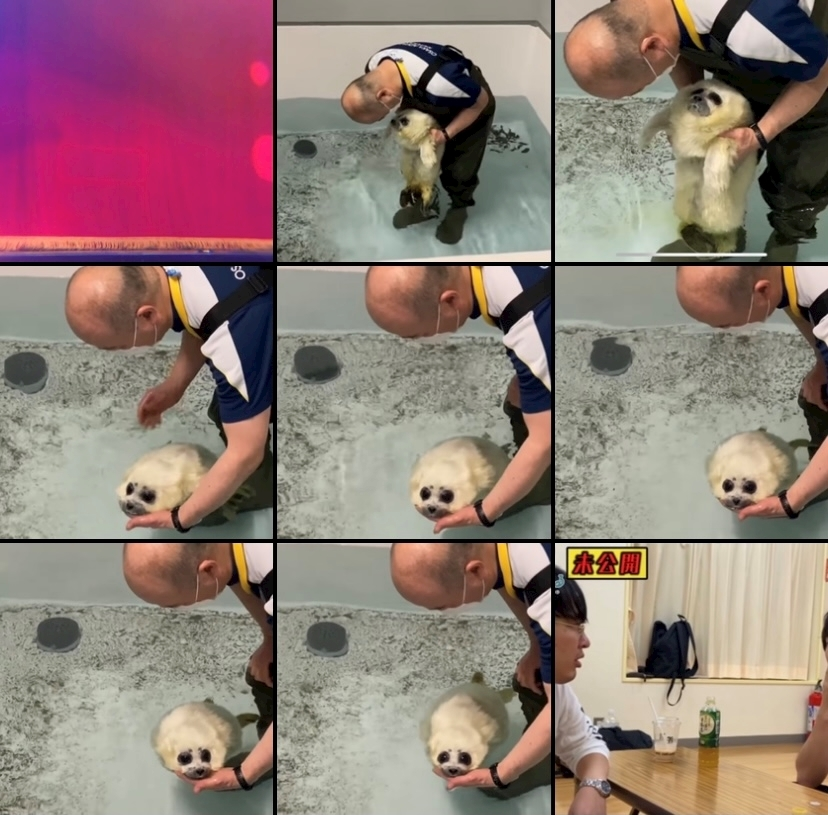 あん