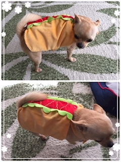 レミ