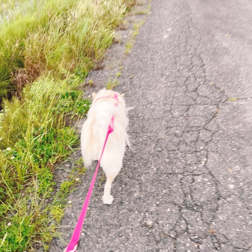 京 さゆみ