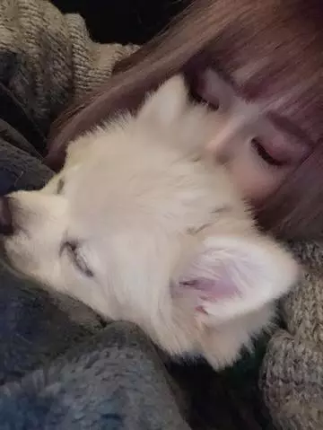 綾瀬 さき