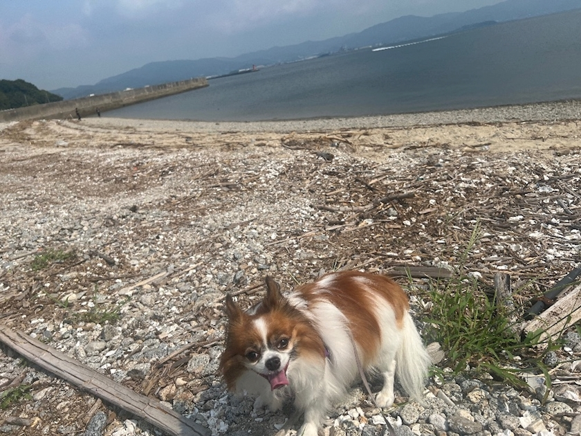 あいら