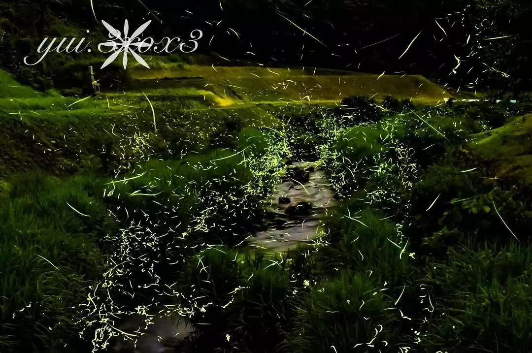 神崎　唯