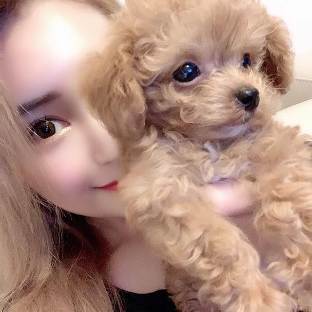 きよみ