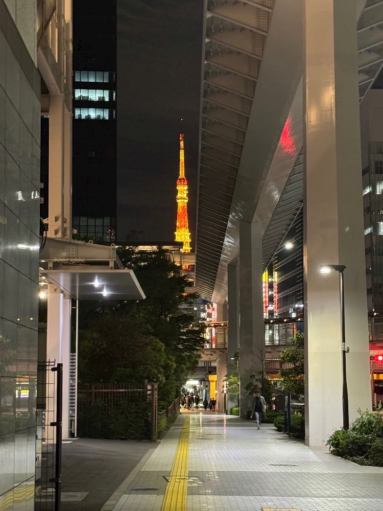 美咲 のばら