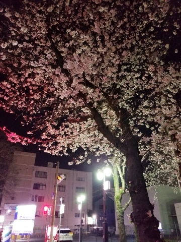 ゆきの