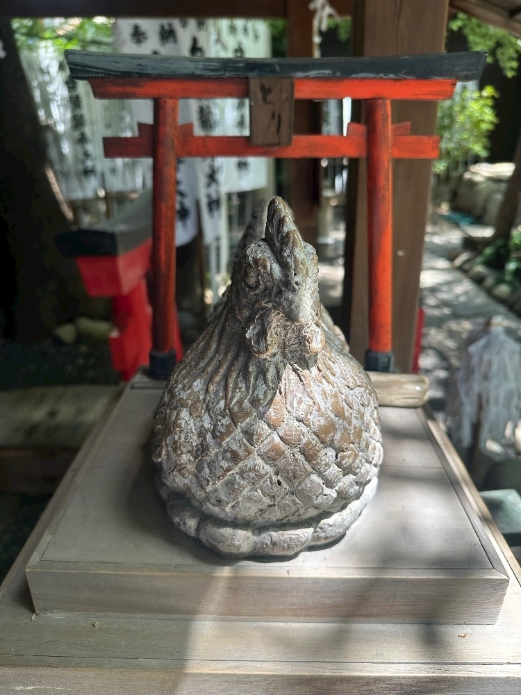 七瀬 えみり