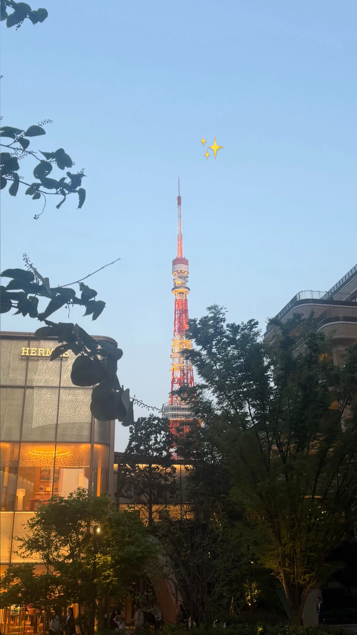 まゆ