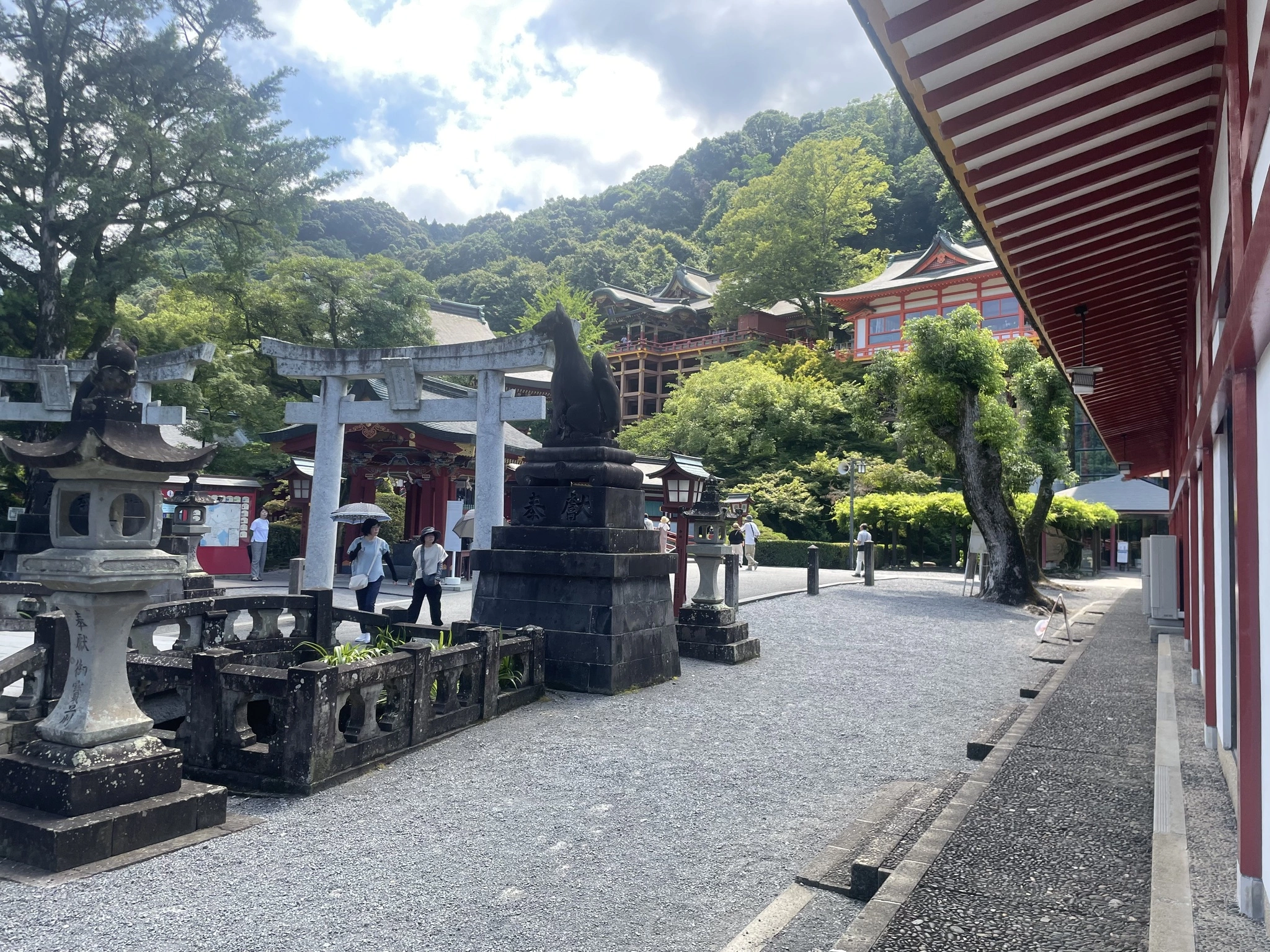 ゆき