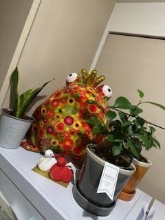 桐島 りゅう