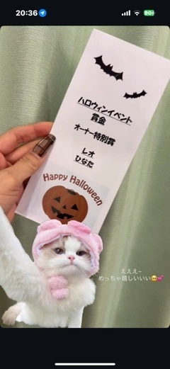 灯 ひなた