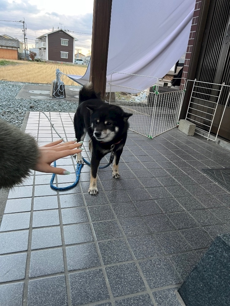 池田 ゆりか ママ