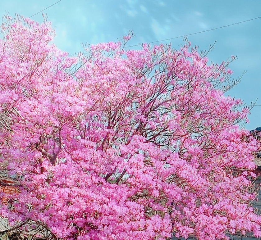 りょう