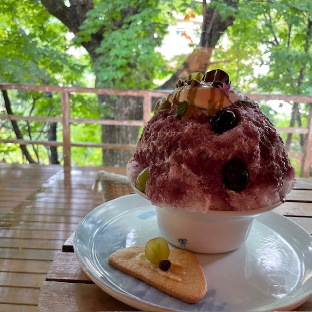 涼風 あき