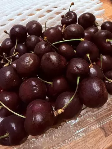 白石 愛莉