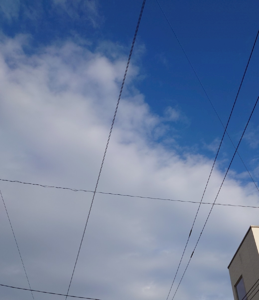 のはら かすみ