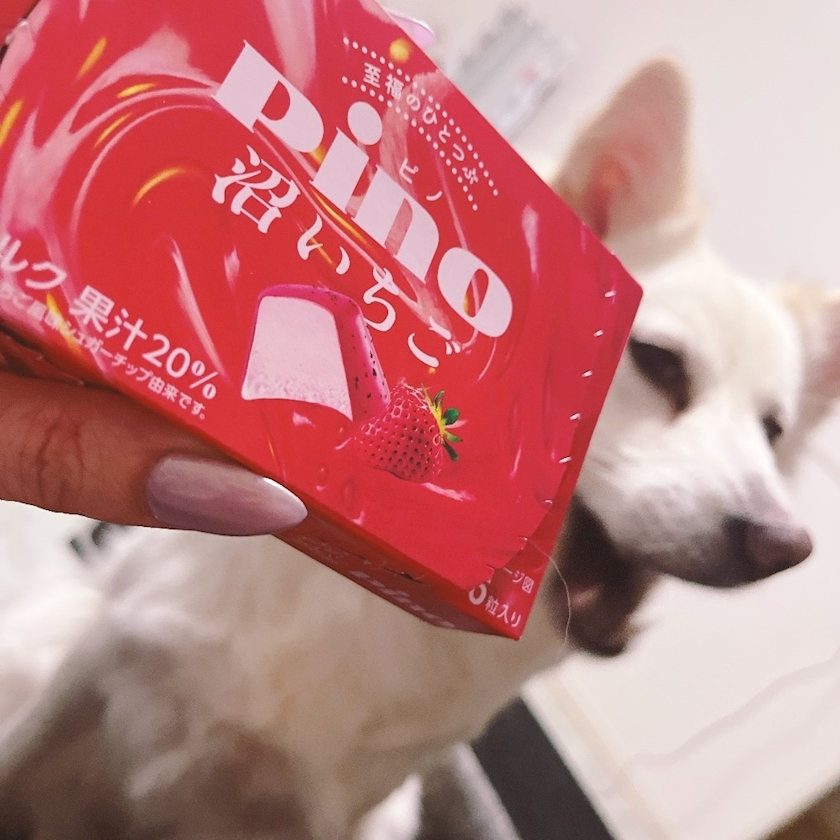 京 さゆみ