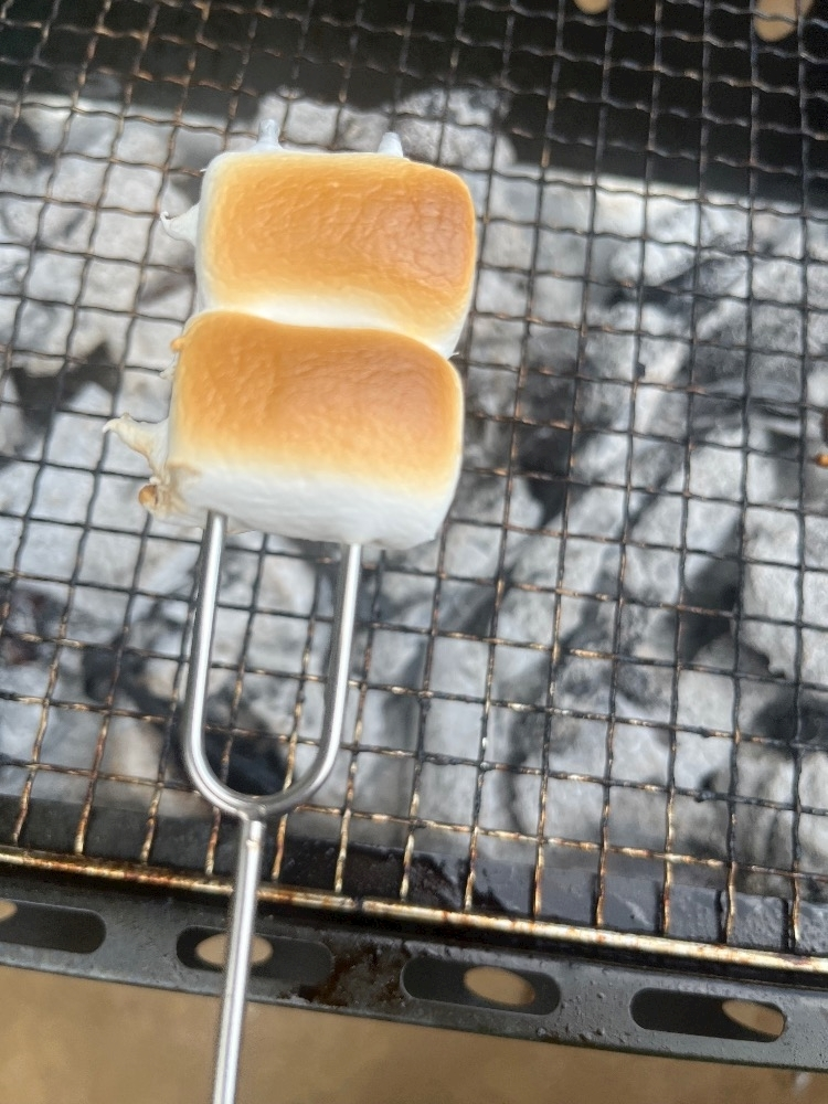 あみ