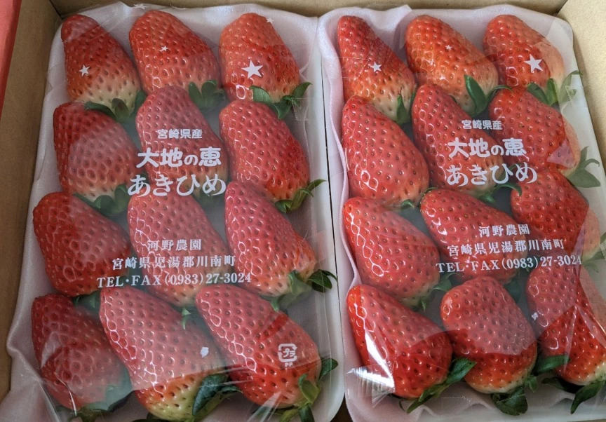五条 椿