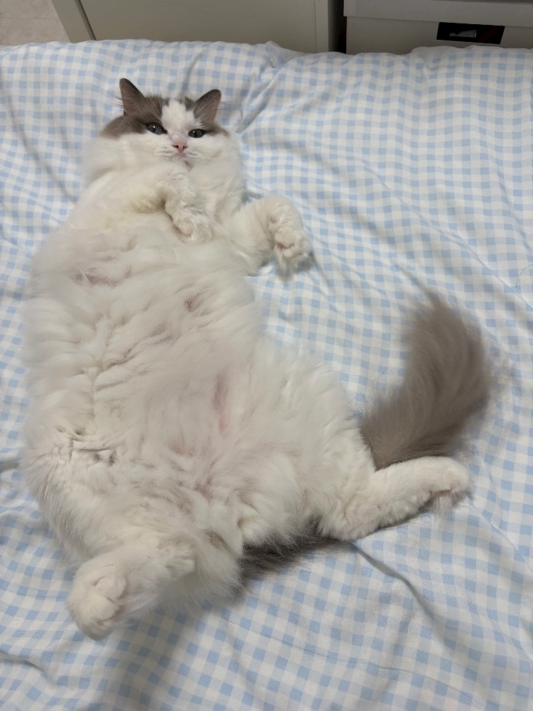 辻 みなみ