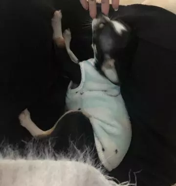 長瀬 純恋