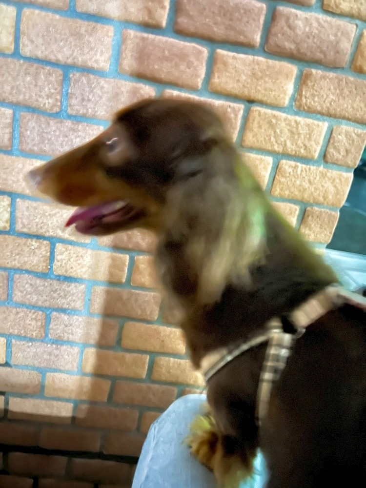 スズ