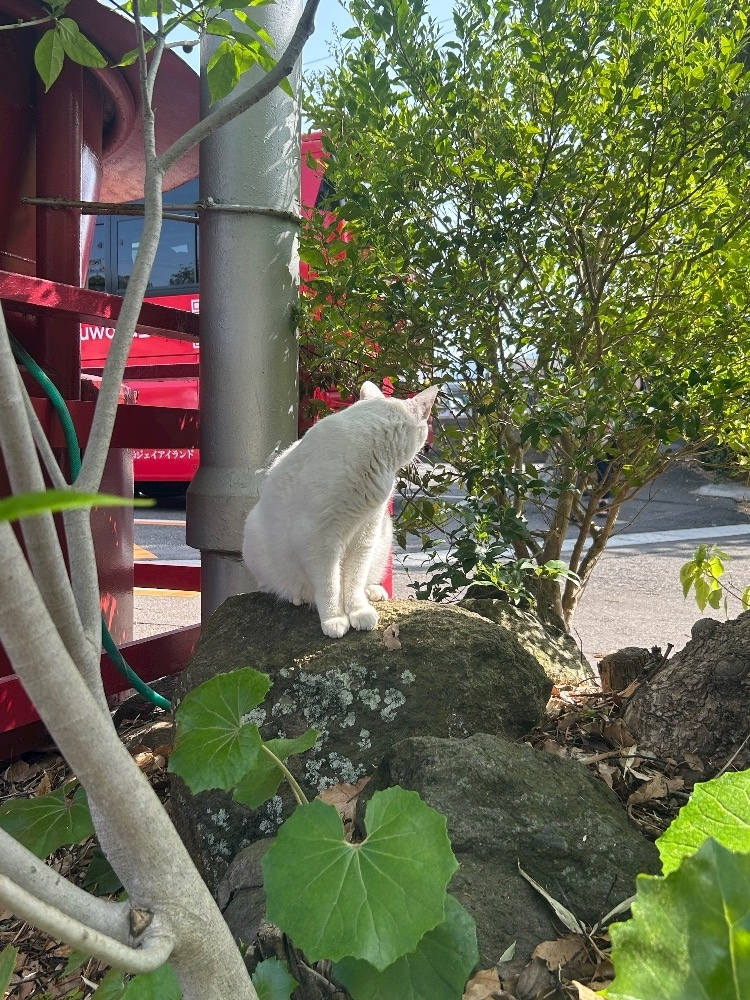 かびるんるんさわ