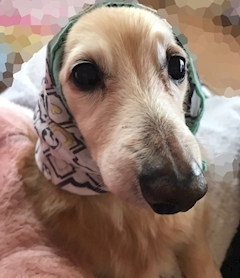 ティナ