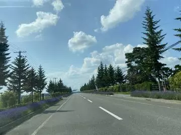 あやの