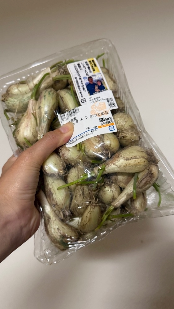 朝比奈 雅