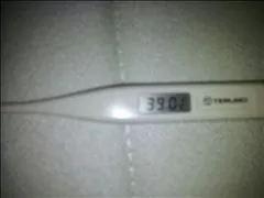 桃瀬 百華